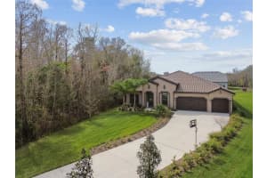 17926 BEACON PASTURE WAY, LUTZ, FL 33559 Sold 05/17/24