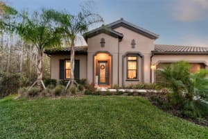 17926 BEACON PASTURE WAY, LUTZ, FL 33559 Sold 05/17/24