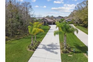 17926 BEACON PASTURE WAY, LUTZ, FL 33559 Sold 05/17/24