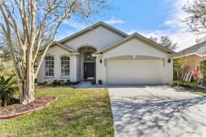 18127 ANTIETAM COURT, TAMPA, FL 33647 Sold 04/10/24
