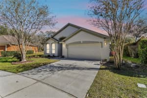 18127 ANTIETAM COURT, TAMPA, FL 33647 Sold 04/10/24