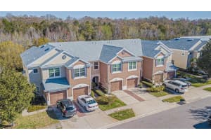 26633 CASTLEVIEW WAY, WESLEY CHAPEL, FL 33544 Sold 02/11/25