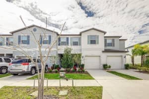 7219 SWEET ALYSSUM COURT, TAMPA, FL 33619 Sold 04/03/24