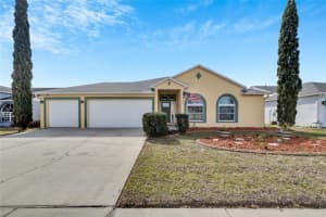 11511 ANDY DRIVE, RIVERVIEW, FL 33569 Sold 06/28/24