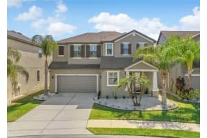 11318 LAZY HICKORY LANE, TAMPA, FL 33635 Sold 06/03/24