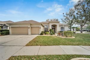 223 BON VIE PLACE, VALRICO, FL 33594 Sold 09/04/24