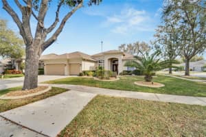 223 BON VIE PLACE, VALRICO, FL 33594 Sold 09/04/24