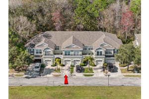 14181 WATERVILLE CIRCLE, TAMPA, FL 33626 Sold 05/07/24
