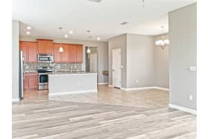 10133 NEWMINSTER LOOP, RUSKIN, FL 33573 Sold 04/29/24