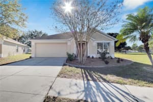12110 DAWN VISTA DRIVE, RIVERVIEW, FL 33578 Sold 06/06/24