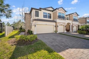 30098 SOUTHWELL LANE, WESLEY CHAPEL, FL 33543 Sold 03/24/25