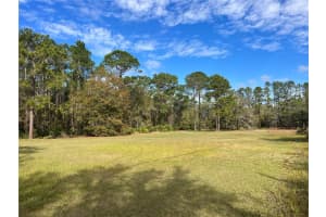 8615 KENTON ROAD, WESLEY CHAPEL, FL 33545 - MLS#MFRT3504506