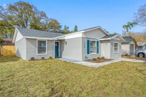 12348 CLOVERSTONE DRIVE, TAMPA, FL 33624 Sold 04/01/24