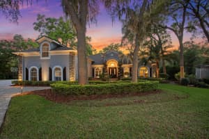 5104 PINE ROCKLANDS AVENUE, LITHIA, FL 33547 Sold 06/07/24