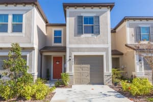 31915 BLUE PASSING LOOP, WESLEY CHAPEL, FL 33545 Sold 10/15/24