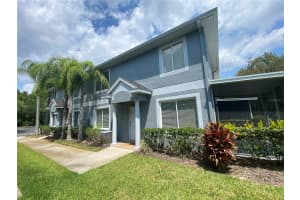 18181 PARADISE POINT DRIVE, TAMPA, FL 33647 Sold 01/31/25