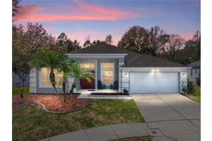 8201 PINEWOOD RUN COURT, TAMPA, FL 33647 Sold 03/22/24