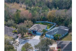 8201 PINEWOOD RUN COURT, TAMPA, FL 33647 Sold 03/22/24