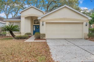 4626 DUNNIE DRIVE, TAMPA, FL 33614 Sold 04/08/24