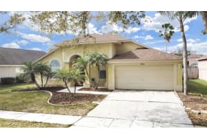 18016 PALM BREEZE DRIVE, TAMPA, FL 33647 Sold 06/28/24