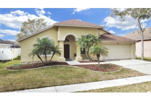 18016 PALM BREEZE DRIVE, TAMPA, FL 33647 Sold 06/28/24