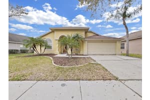 18016 PALM BREEZE DRIVE, TAMPA, FL 33647 Sold 06/28/24