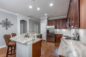 10315 CELTIC ASH DRIVE, RUSKIN, FL 33573 Sold 09/18/24