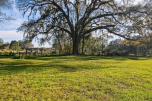 13450 BELLAMY BROTHERS BOULEVARD, DADE CITY, FL 33525 Sold 02/05/25