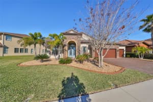 13227 FAWN LILY DRIVE, RIVERVIEW, FL 33579 Sold 06/04/24