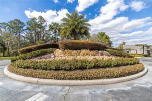 27193 HAWKS NEST CIRCLE, WESLEY CHAPEL, FL 33544 Sold 06/17/24