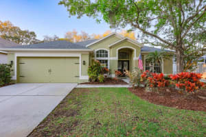 19134 CHERRY ROSE CIRCLE, LUTZ, FL 33558 Sold 03/22/24