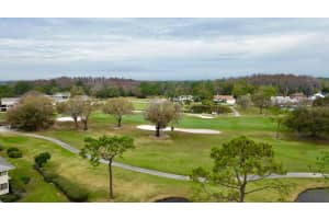 29147 BAY HOLLOW DRIVE, WESLEY CHAPEL, FL 33543 Sold 04/20/24