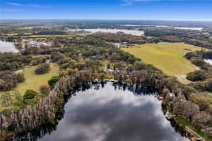 8535 OLD COUNTRY ROAD, ODESSA, FL 33556 Sold 09/06/24