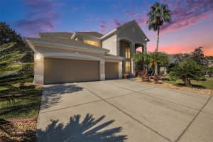 3647 VALENCIA COVE COURT, LAND O LAKES, FL 34639 Sold 11/22/24