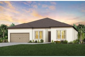 12113 ORCHID ASH STREET, RIVERVIEW, FL 33579 Sold 09/24/24