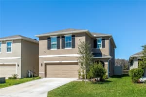 16089 WEATHERED WINDMILL TERRACE, ODESSA, FL 33556 Sold 04/11/24