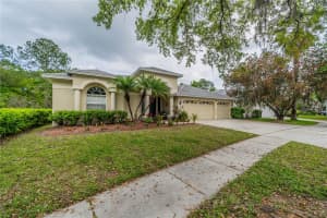 10761 PLANTATION BAY DR, TAMPA, FL 33647 Sold 02/24/25