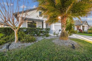 19842 HIDDEN GLEN DRIVE, LAND O LAKES, FL 34638 Sold 04/18/24