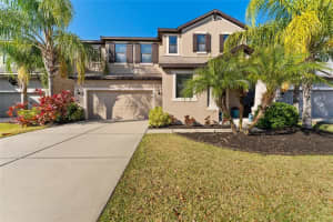 11315 LAZY HICKORY LANE, TAMPA, FL 33635 Sold 08/08/24