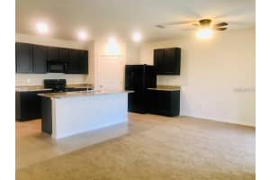 11519 KOTI CREEK LANE, THONOTOSASSA, FL 33592 Sold 04/30/24