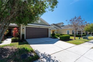 8509 SANDPIPER RIDGE AVENUE, TAMPA, FL 33647 Sold 04/15/24
