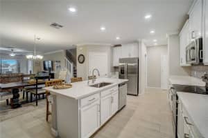 31396 CABANA RYE AVENUE, SAN ANTONIO, FL 33576 - MLS#MFRT3507072