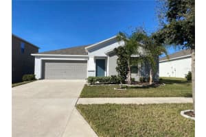 10519 STRAWBERRY TETRA DRIVE, RIVERVIEW, FL 33578 Sold 06/07/24
