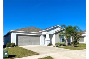 10519 STRAWBERRY TETRA DRIVE, RIVERVIEW, FL 33578 Sold 06/07/24