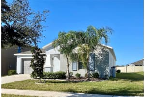 10519 STRAWBERRY TETRA DRIVE, RIVERVIEW, FL 33578 Sold 06/07/24