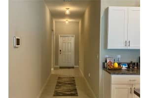 10519 STRAWBERRY TETRA DRIVE, RIVERVIEW, FL 33578 Sold 06/07/24