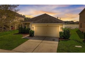 9462 LEATHERWOOD AVENUE, TAMPA, FL 33647 Sold 05/23/24