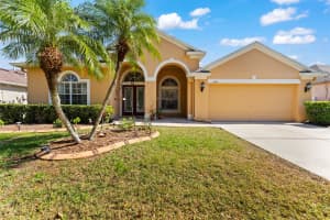 8225 SWANN HOLLOW DRIVE, TAMPA, FL 33647 Sold 06/17/24