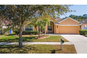 8225 SWANN HOLLOW DRIVE, TAMPA, FL 33647 Sold 06/17/24