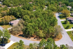 10 BONNIE DRIVE, HOMOSASSA, FL 34446 Sold 07/10/25